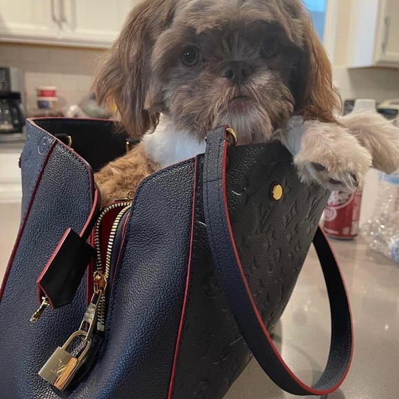 Meet your Posher, Monica - Picture 1 of 1